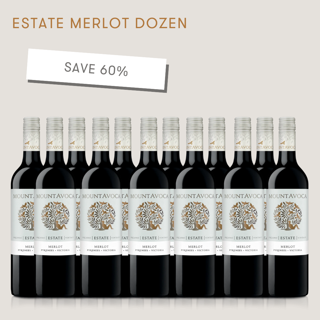 BLACK FRIDAY Estate Merlot Dozen