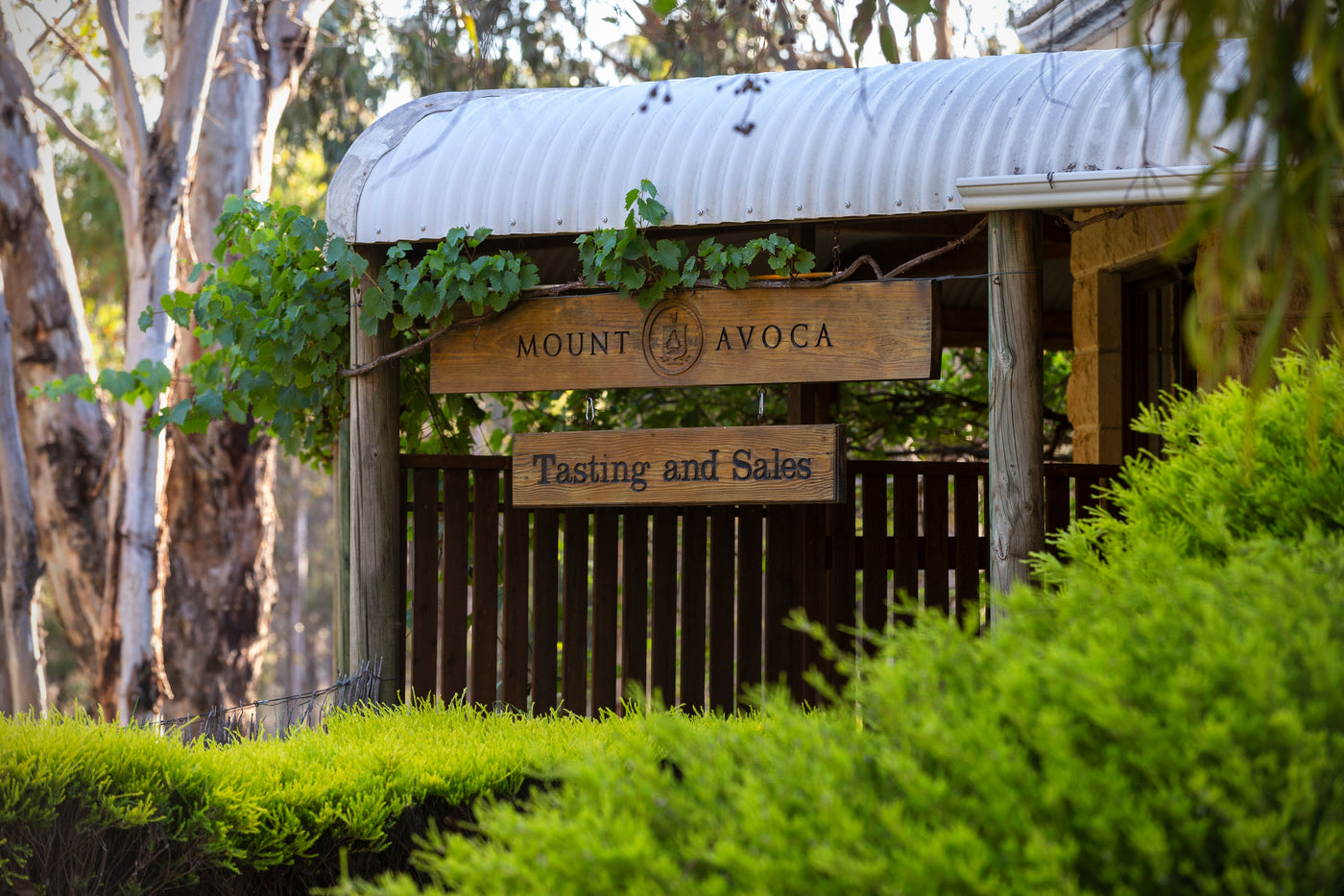 Tasting at Cellar Door