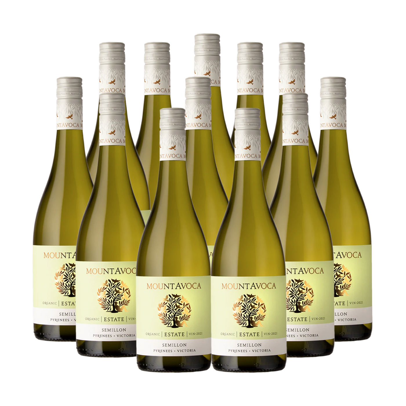 Estate 2024 Semillon